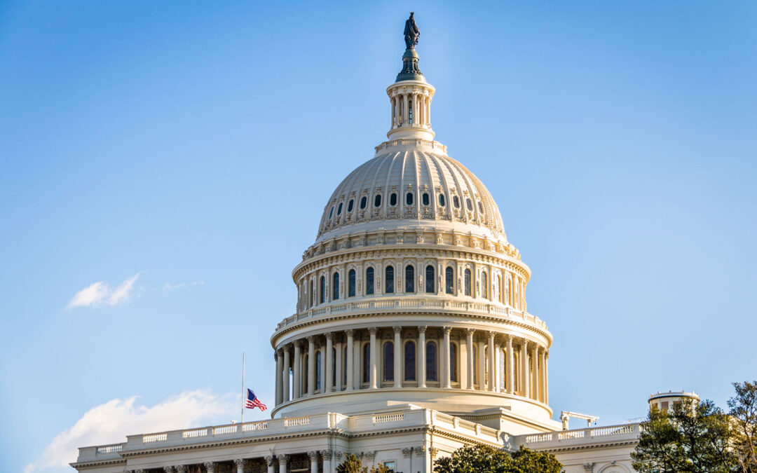 How the Federal Government Views PEOs