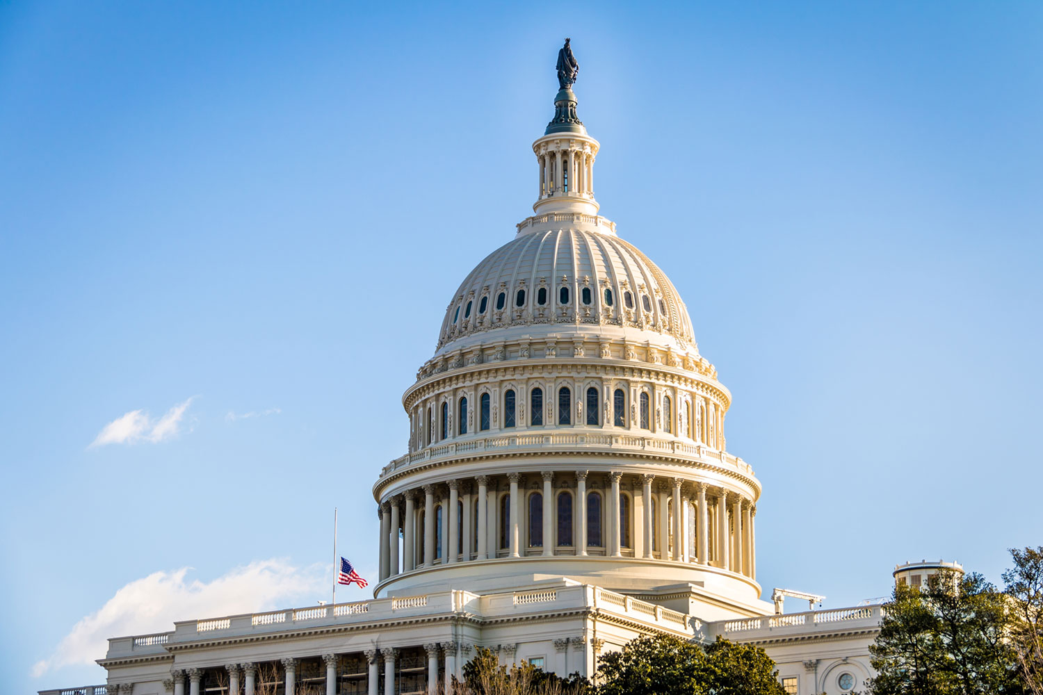 How-the-Federal-Government-Views-PEOs